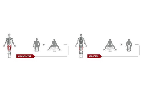 Перечень упражнений на тренажере Приведение/отведение бедра Spirit Fitness DWS150-U2